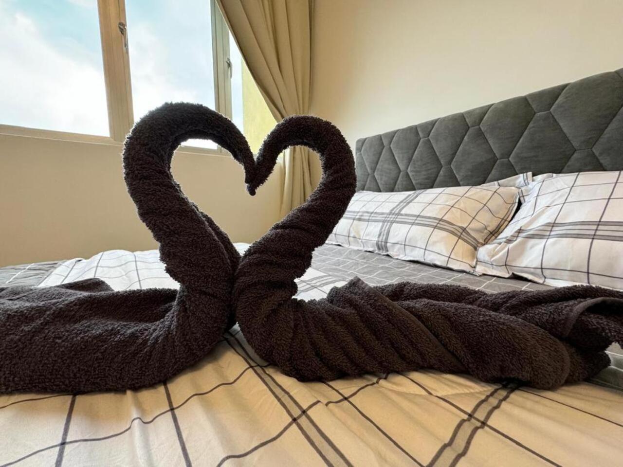 Comfy Falim *